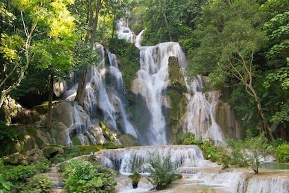 1 Day Mekong Pak Ou Caves Kuang Si Waterfalls Local Villages Tour
