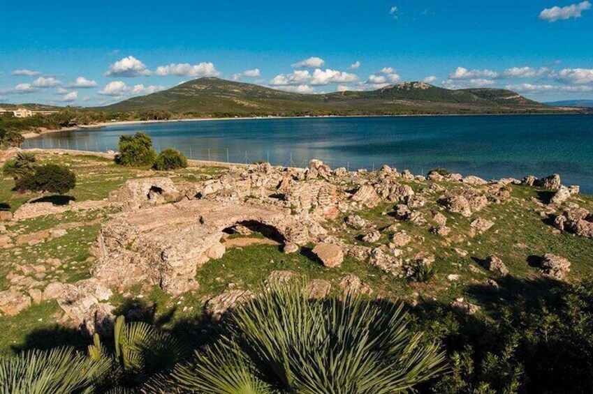 Alghero Visit the Porto Conte Park Ecomuseum