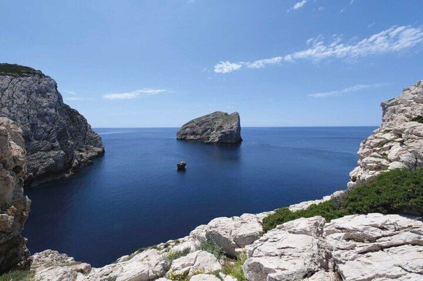 Alghero Visit the Porto Conte Park Ecomuseum
