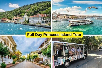 Princess Islands Daily Tour from Istanbul