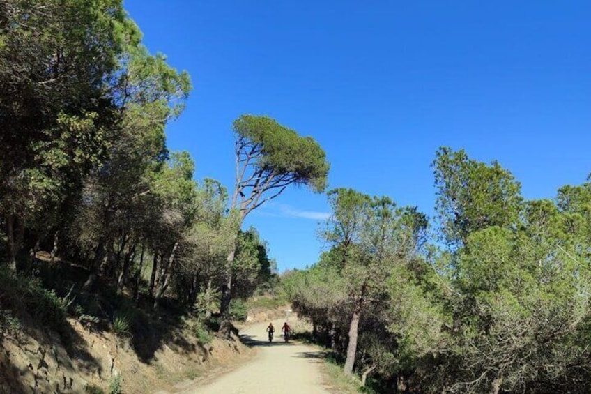 Barcelona to Tibidabo Hidden Gems and Scenic Heights E-Bike Tour