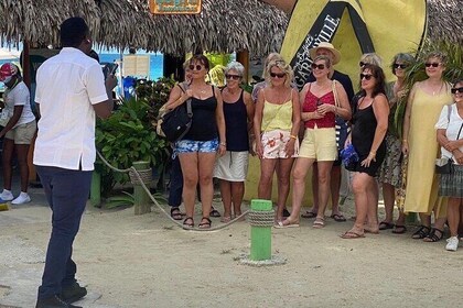 Negril Seven Mile Beach Tour and Cliff Jumping