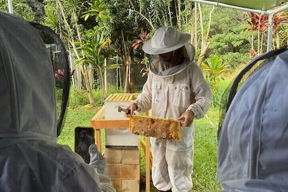 Kauai Honey and Bee Tour in Kapaʻa