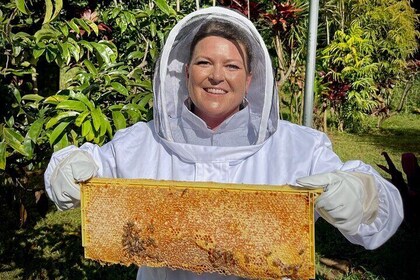 Kauai Honey and Bee Tour in Kapaʻa