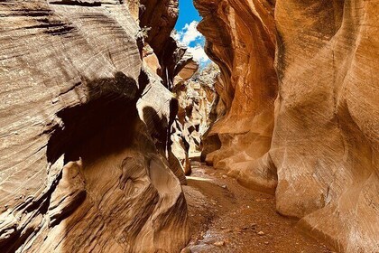 Private Guided Hike Through Buckskin Gulch Wire Pass