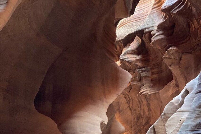 Private Guided Hike Through Buckskin Gulch Wire Pass