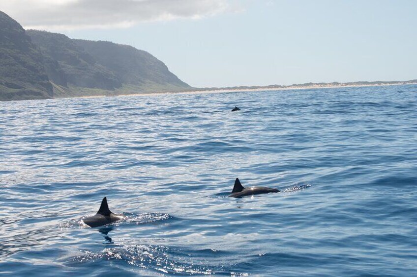 Full Day Scuba Dive Experience Off The Na Pali Coast, Kaua’i