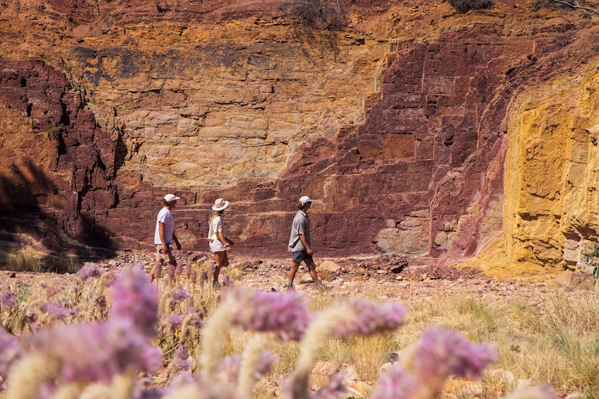 West MacDonnell Ranges Tjoritja Full-Day Tour with Lunch from Alice Springs