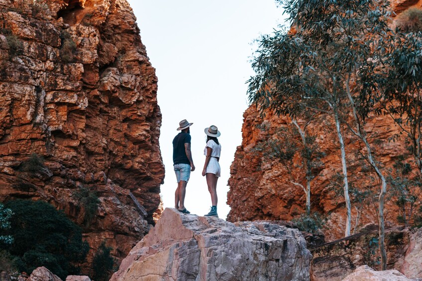West MacDonnell Ranges Tjoritja Full-Day Tour with Lunch from Alice Springs