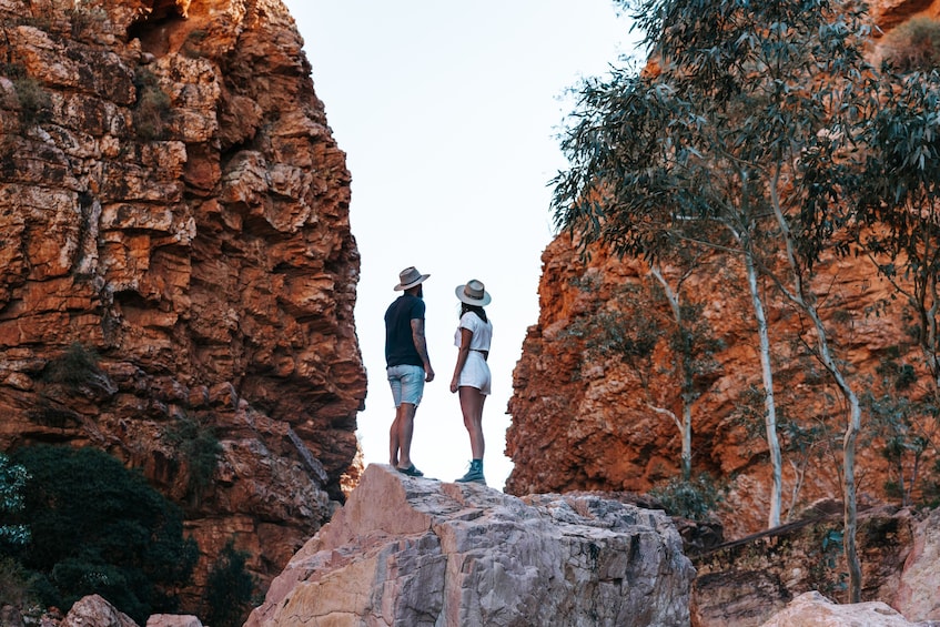 West MacDonnell Ranges Tjoritja Full-Day Tour with Lunch from Alice Springs