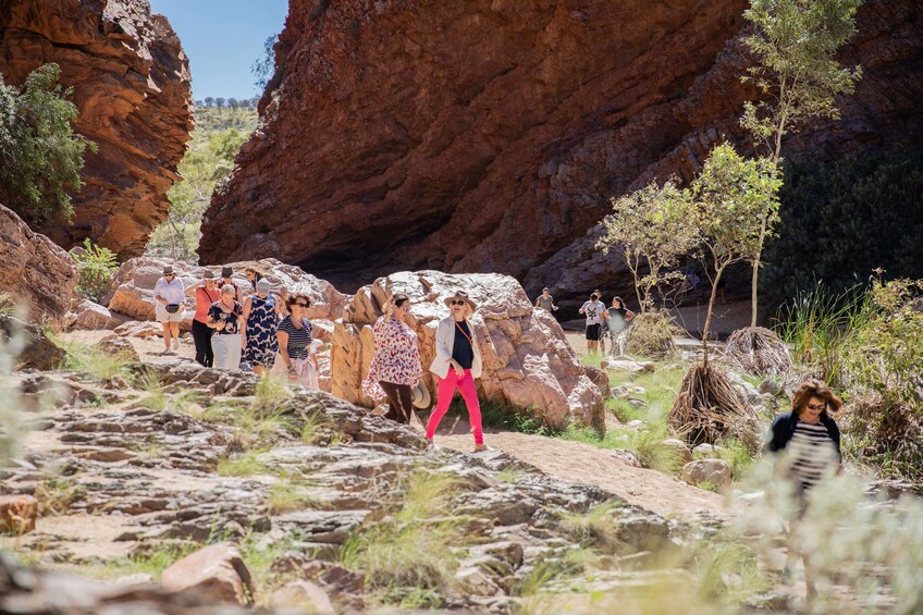 West MacDonnell Ranges Tjoritja Full-Day Tour with Lunch from Alice Springs