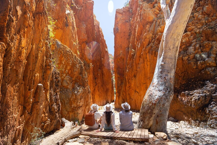 West MacDonnell Ranges Tjoritja Full-Day Tour with Lunch from Alice Springs