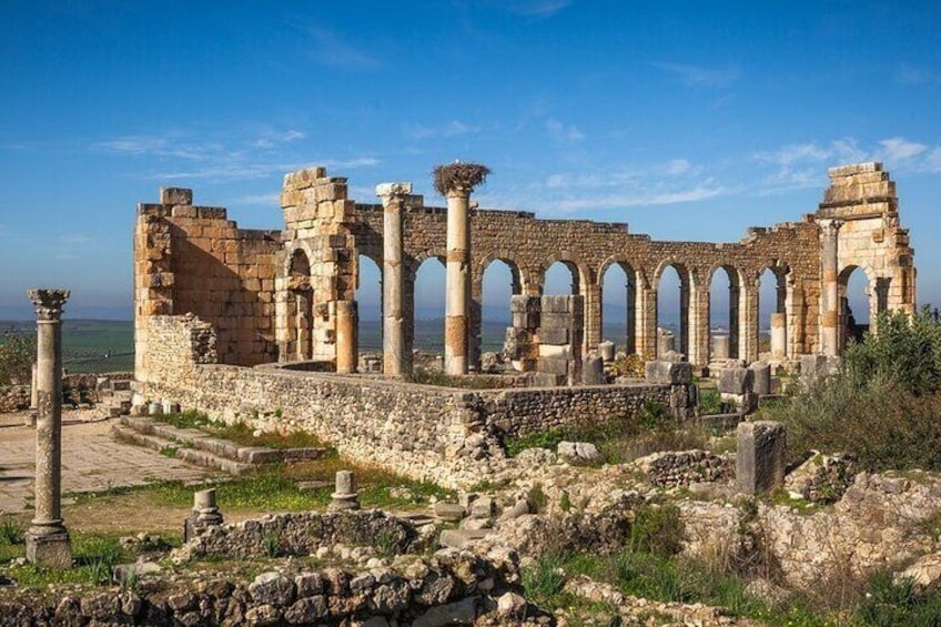 Full-day Historical Meknes Volubilis and Moulay Idriss Tour