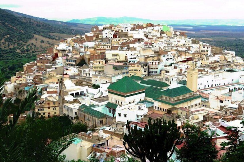 Full-day Historical Meknes Volubilis and Moulay Idriss Tour