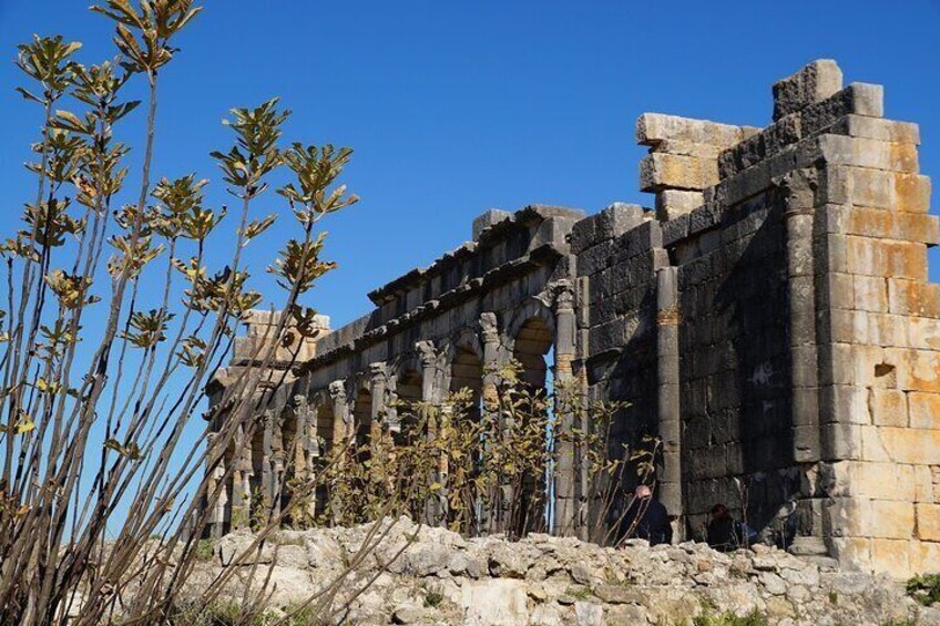 Full-day Historical Meknes Volubilis and Moulay Idriss Tour
