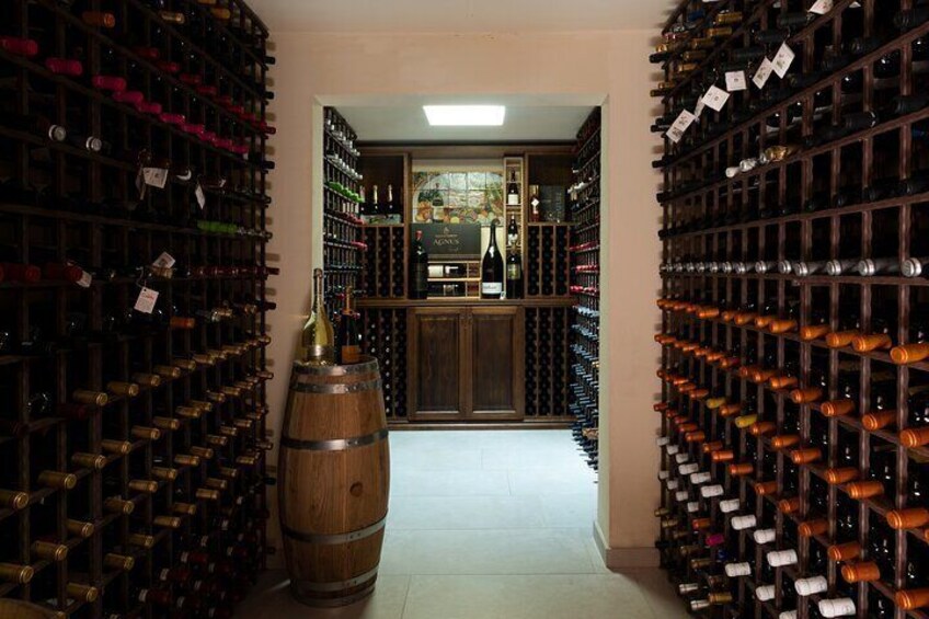 Walk in the Vineyard and Tasting