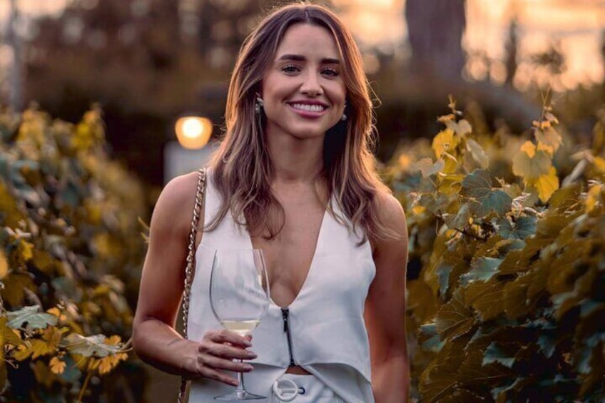 Walk in the Vineyard and Tasting