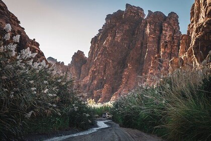 Full Day Wadi Al Disah and Al Shaq Adventure From Tabuk