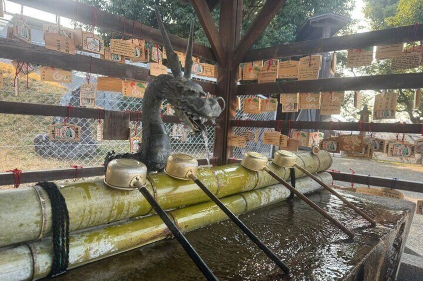 Private Nara Early Morning Tour from Kyoto or Nara