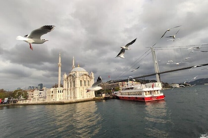 2-timmars Bosporenkryssning i Istanbul med guide