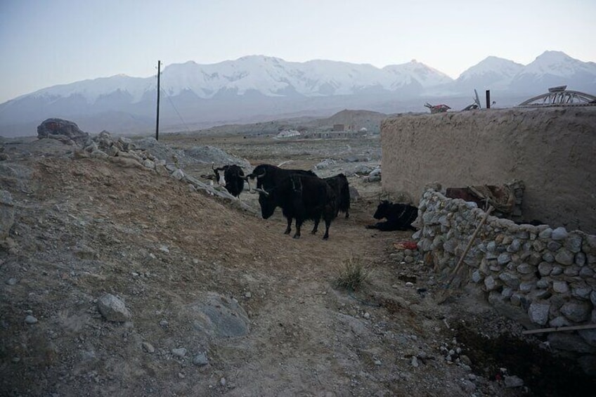 Kyrgyz village near Karakul Lake