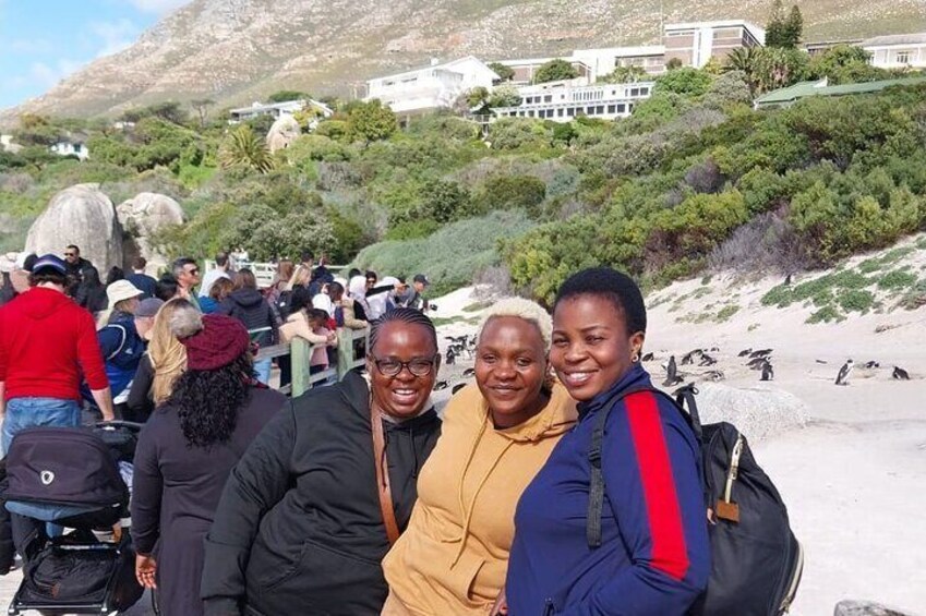  Cape of Good Hope & African Penguins Boulder's Beach Private Tour Full Day 