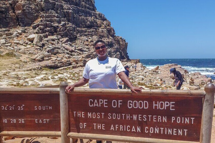  Cape of Good Hope & Penguins Boulder's Beach in Private Car 