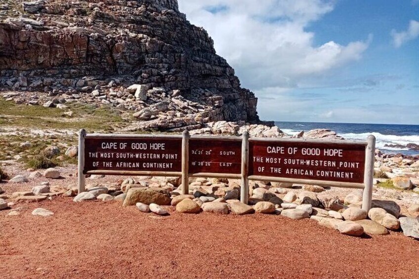  Cape of Good Hope & Penguins Boulder's Beach in Private Car 