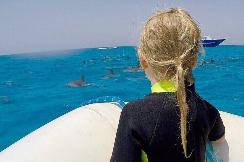 Dolphin House Samadai Reefs Boat Adventure from Marsa Alam