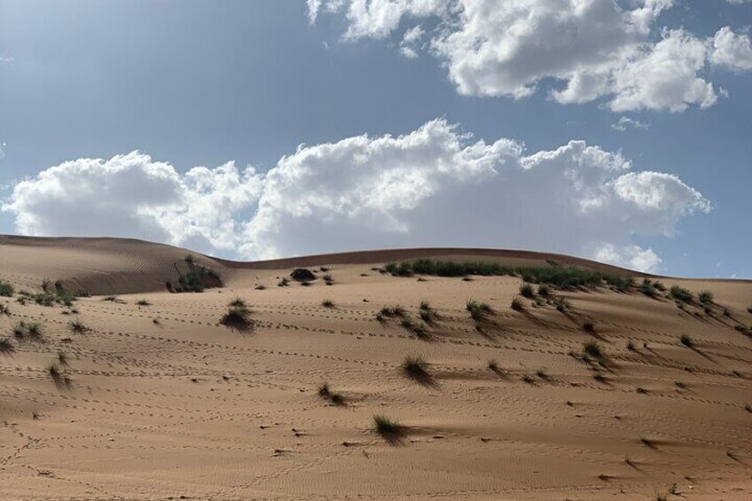 2 Days Wadi Bani Khliad and Wahiba Desert Overnight private Tour 