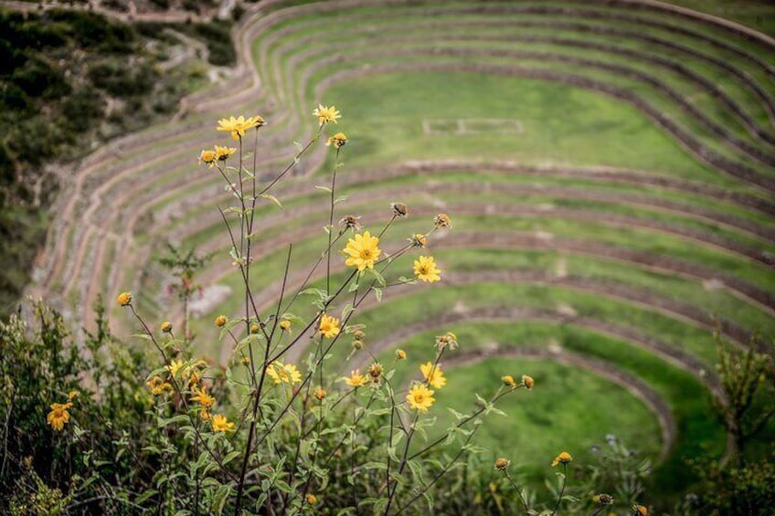 Half Day Tour to Maras Moray and Salt Mines in Small Group