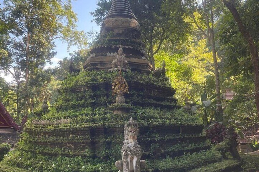Chiang Mai Sight and Doi Suthep Temple Day Tour
