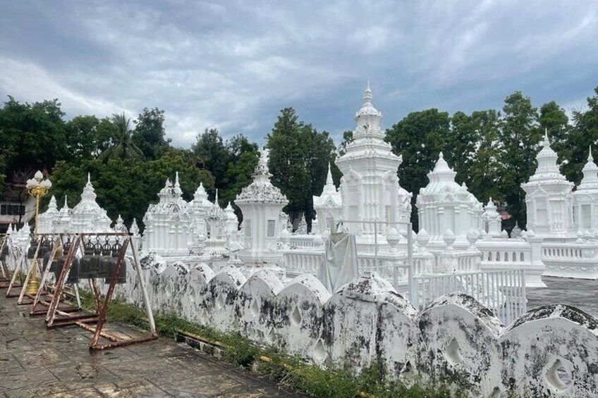 Chiang Mai Sight and Doi Suthep Temple Day Tour
