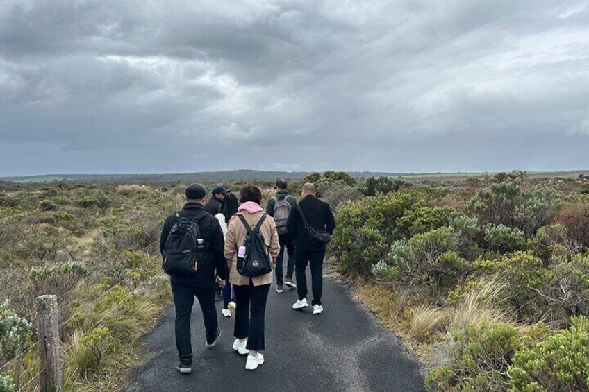 Great Ocean Road PRIVATE LUXURY Tour Reverse 5px Hotel Pick &drop
