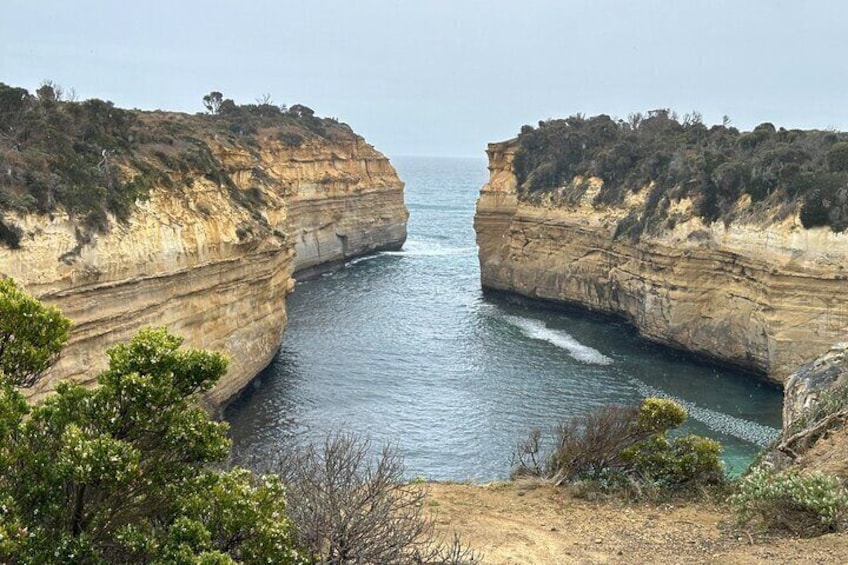 Great Ocean Road PRIVATE LUXURY Tour Reverse 5px Hotel Pick &drop