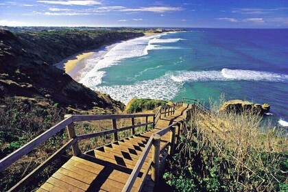 Great Ocean Road PRIVATE LUXURY Tour Reverse 5px Hotel Pick &drop