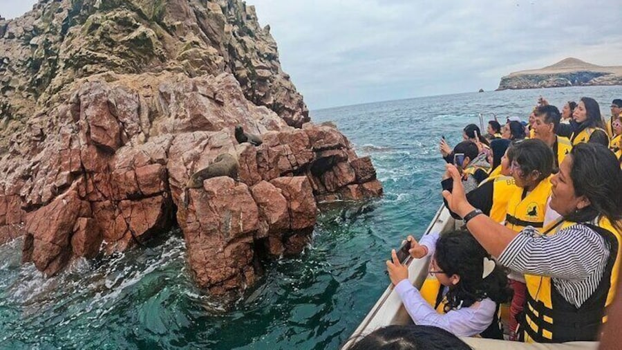 Ballestas Islands