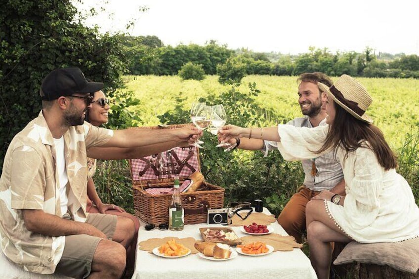 Private Pic Nic with Wine Tasting