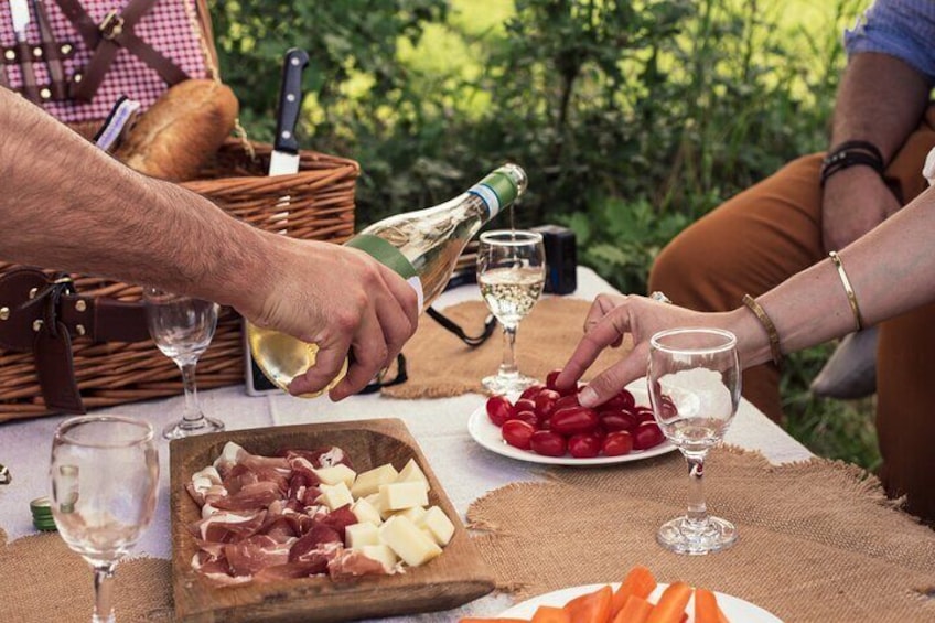 Private Pic Nic with Wine Tasting