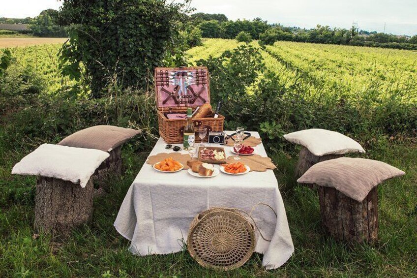 Private Pic Nic with Wine Tasting