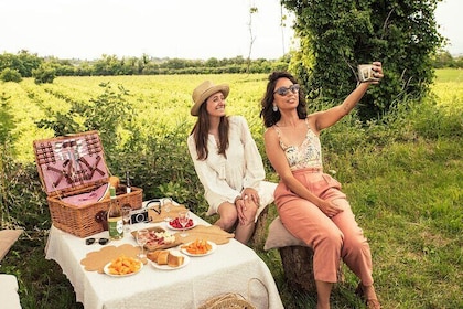 Private Pic Nic with Wine Tasting