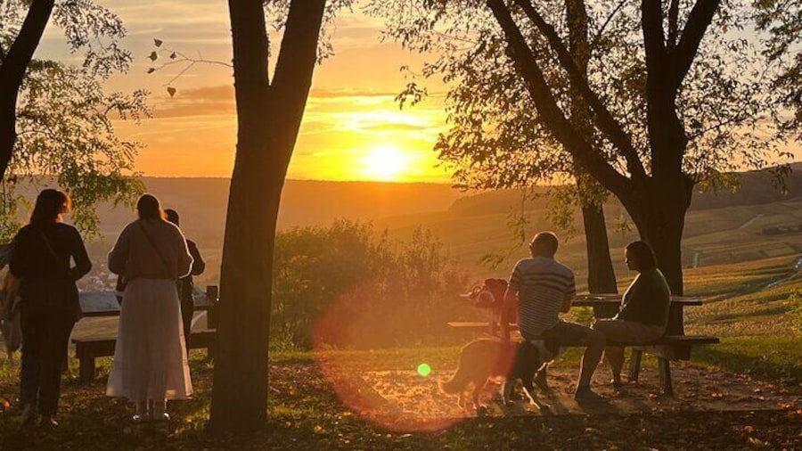Hidden Tuscany Day Trip with Lunch and Wine Tastings From Rome