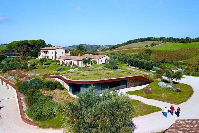 Hidden Tuscany Day Trip with Lunch and Wine Tastings From Rome