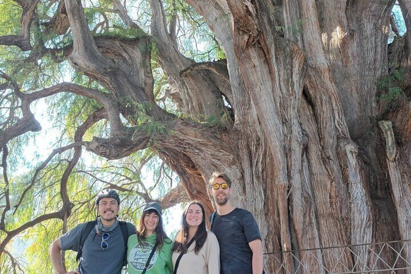 Oaxaca-Tule Biking Ride