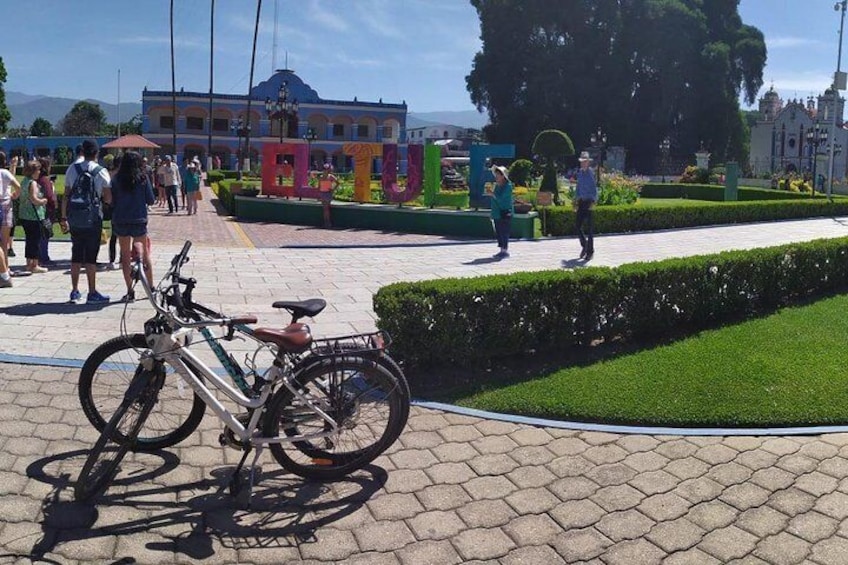 Oaxaca-Tule Biking Ride