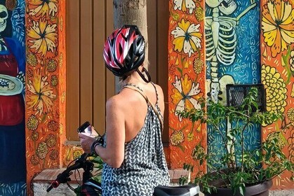 Street Art and Historic City Biking Tour