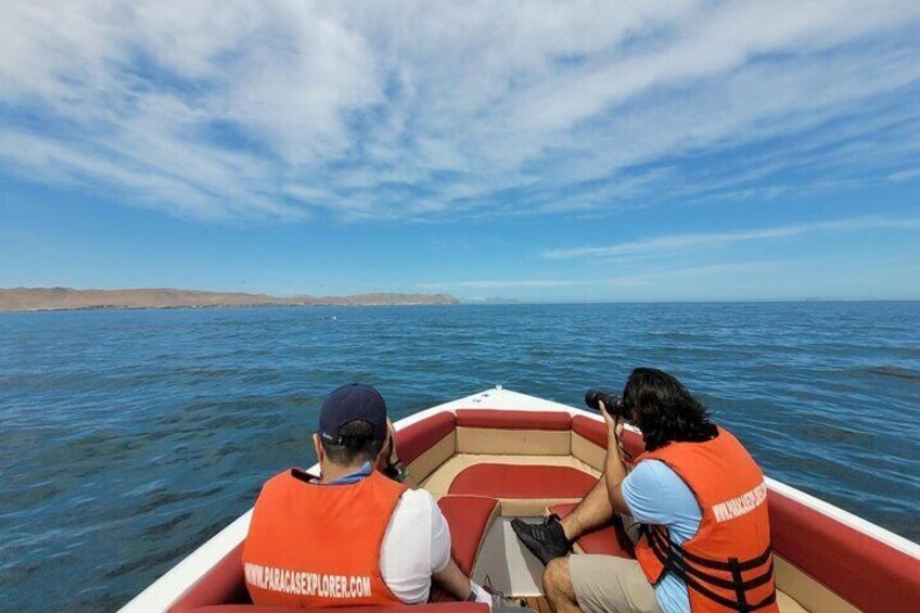 Private Tour Ballestas Islands and White Island from Paracas