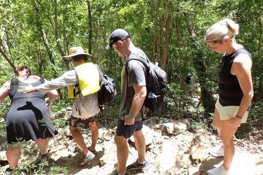 St. Croix Rainforest Ecohike and Beach