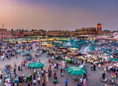Agadir: Guided Day Trip to Marrakech