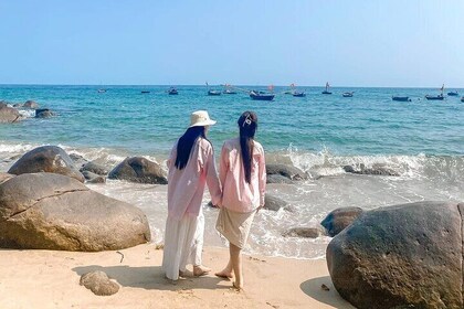 Da Nang City Sightseeing Son Tra Peninsula Peak Hai Van Pass Tour
